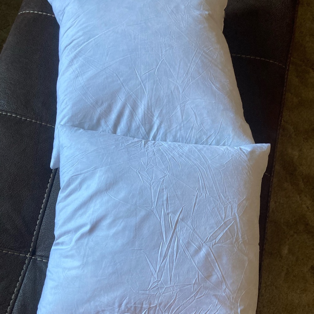 Throw pillow inserts